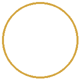 Tạp chí Doanh nhân Sài Gòn và HCMC Beyond, HTV