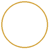 Chương trình HTV9, HTV1