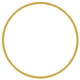 Chương trình THVL, HTV